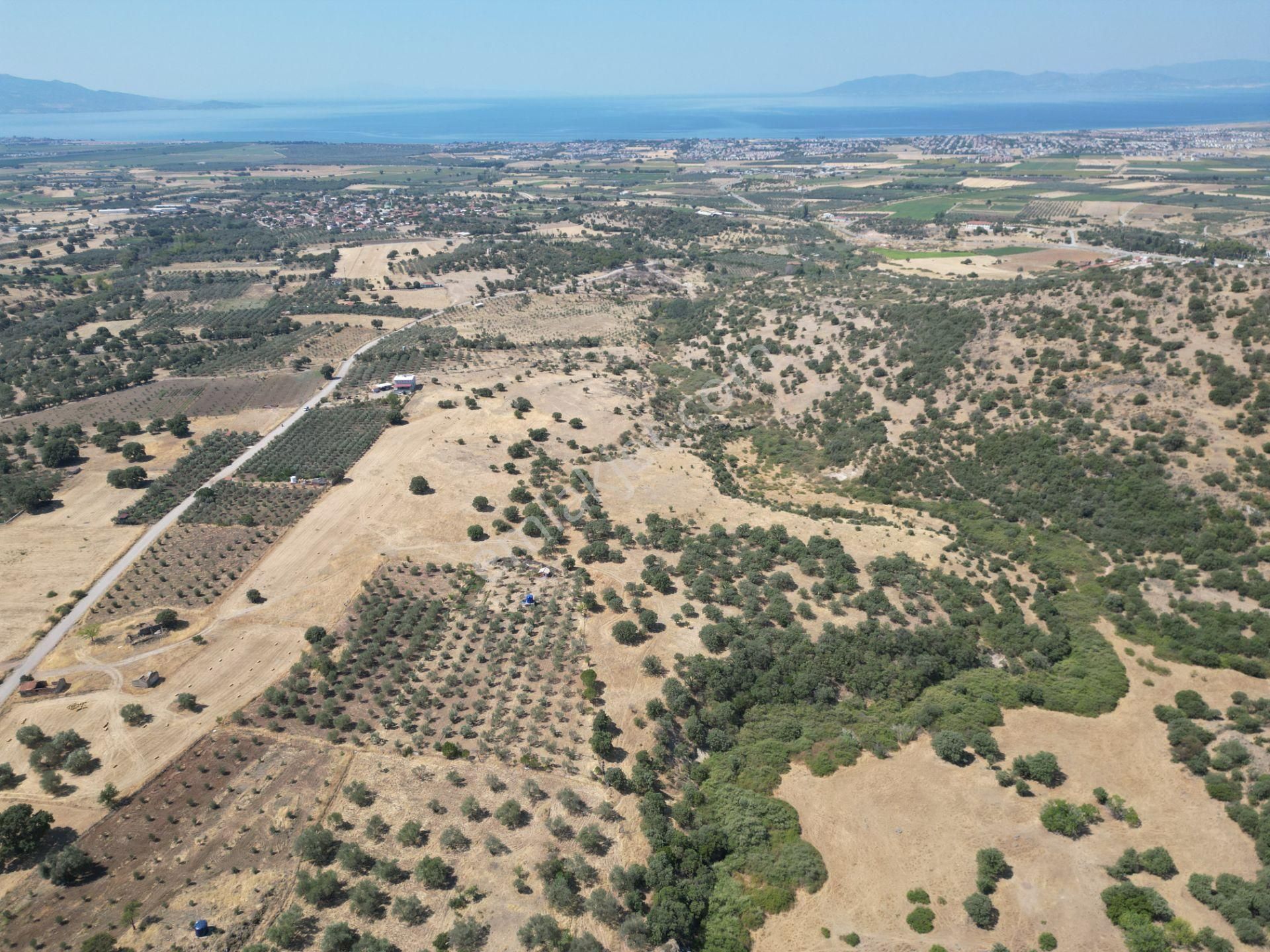 Cb.route'dan, Dikili Kıratlıda Satılık 22 Dönüm Tarla - Görsel 7