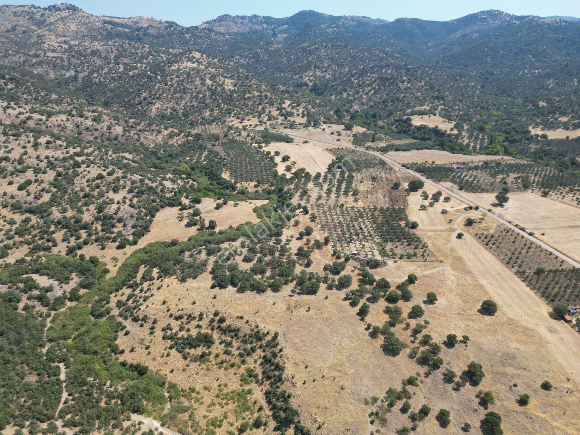 Cb.route'dan, Dikili Kıratlıda Satılık 22 Dönüm Tarla - Görsel 12