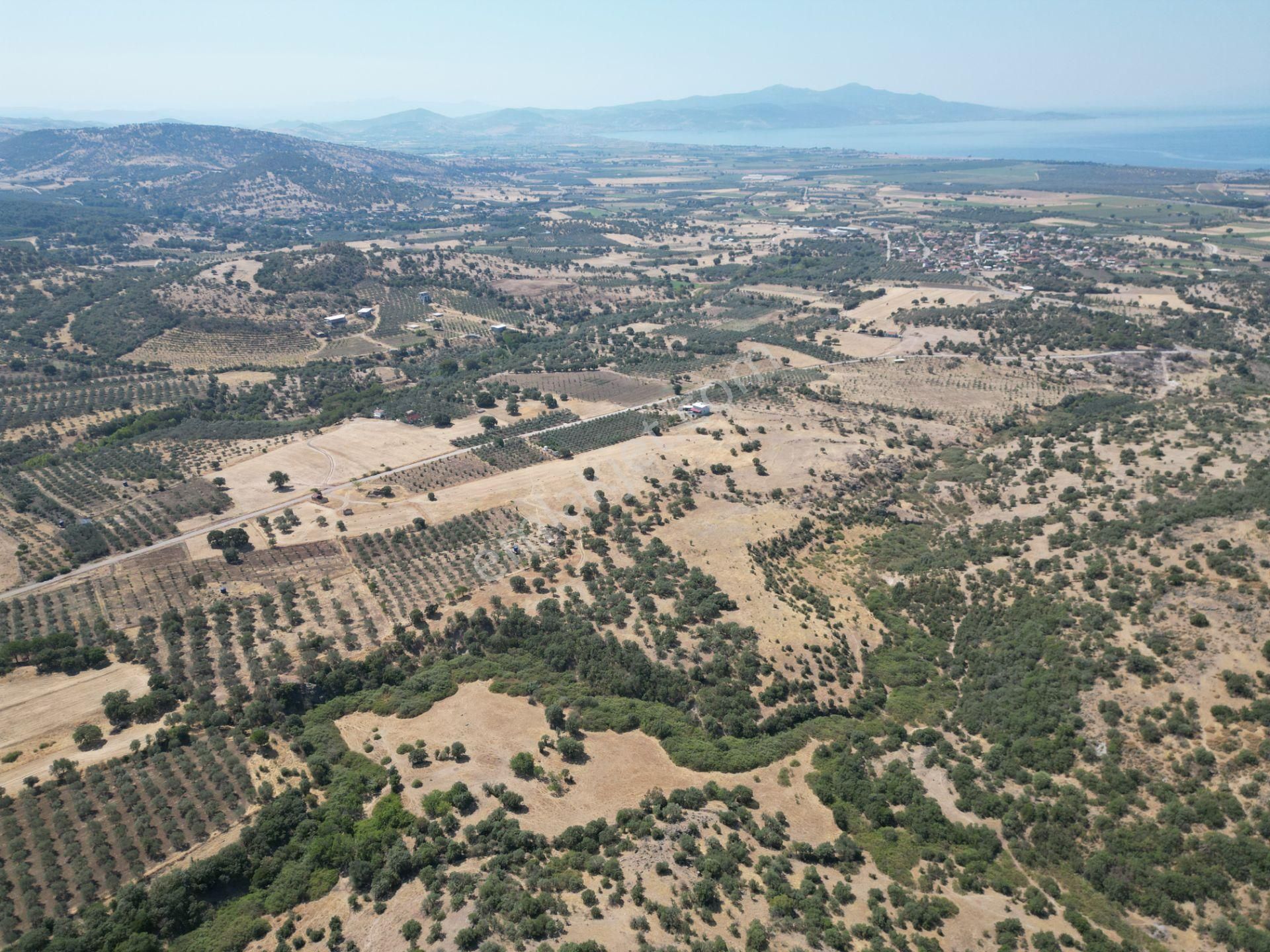 Cb.route'dan, Dikili Kıratlıda Satılık 22 Dönüm Tarla - Görsel 22