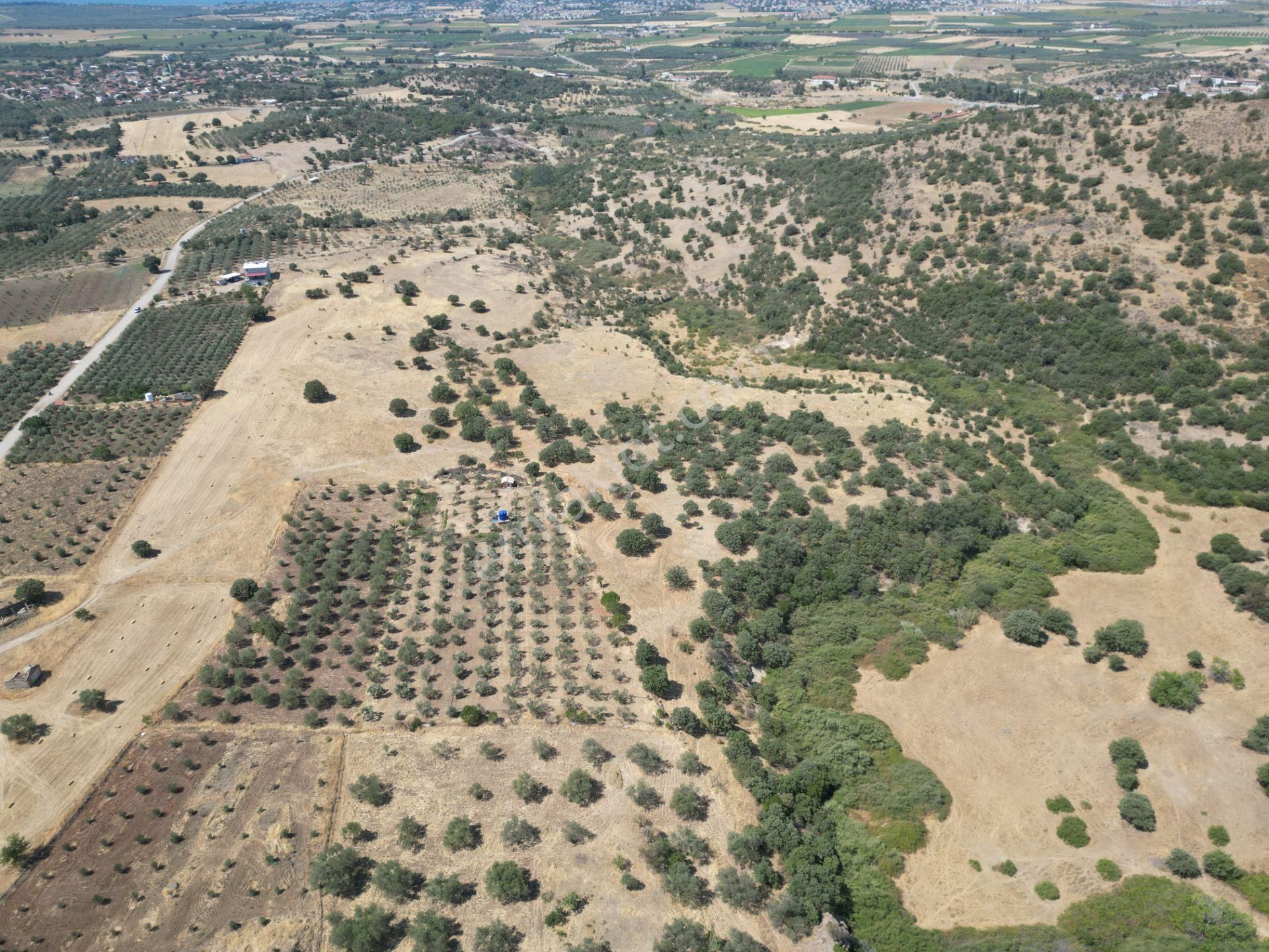 Cb.route'dan, Dikili Kıratlıda Satılık 22 Dönüm Tarla - Görsel 8