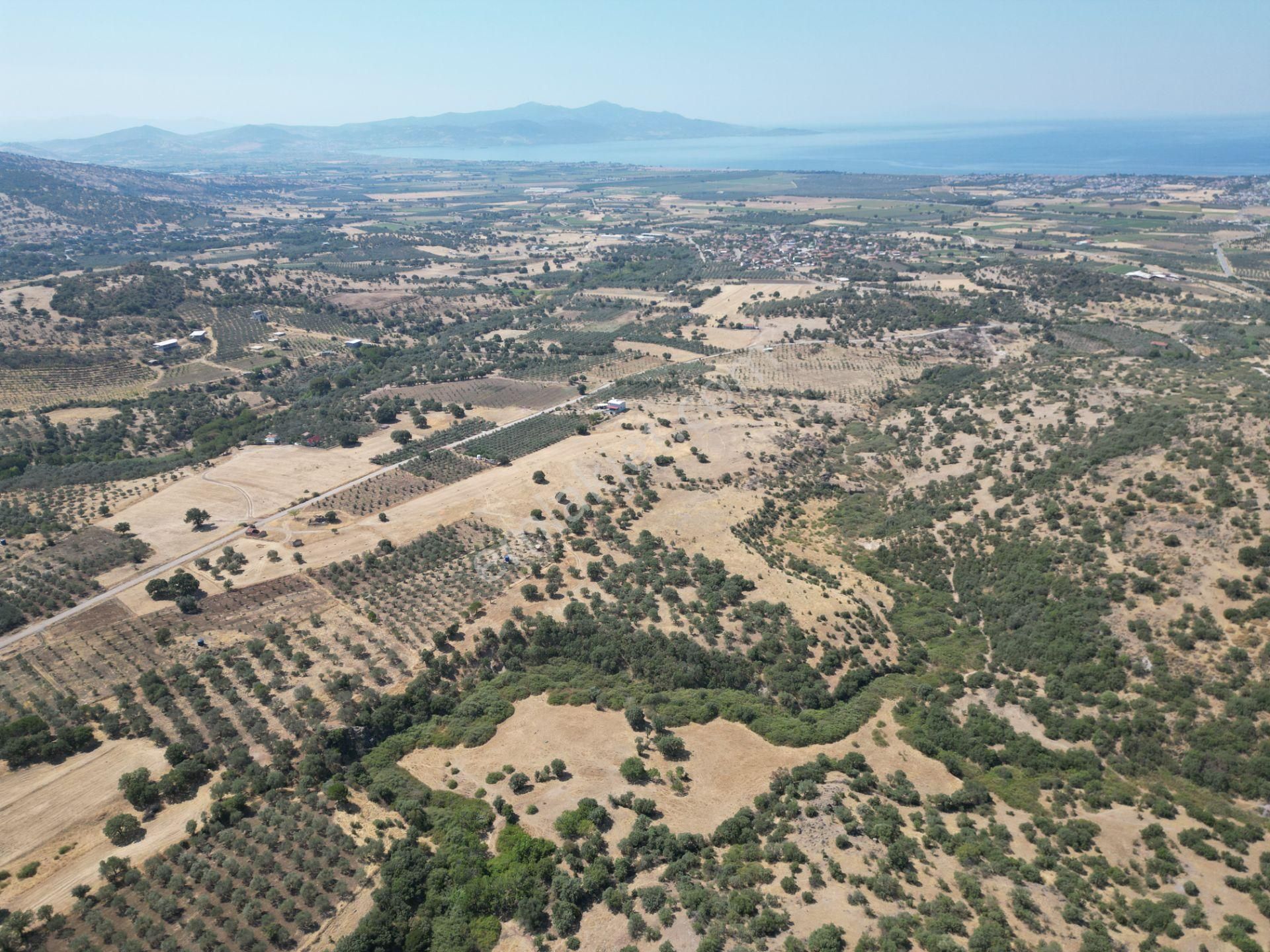 Cb.route'dan, Dikili Kıratlıda Satılık 22 Dönüm Tarla