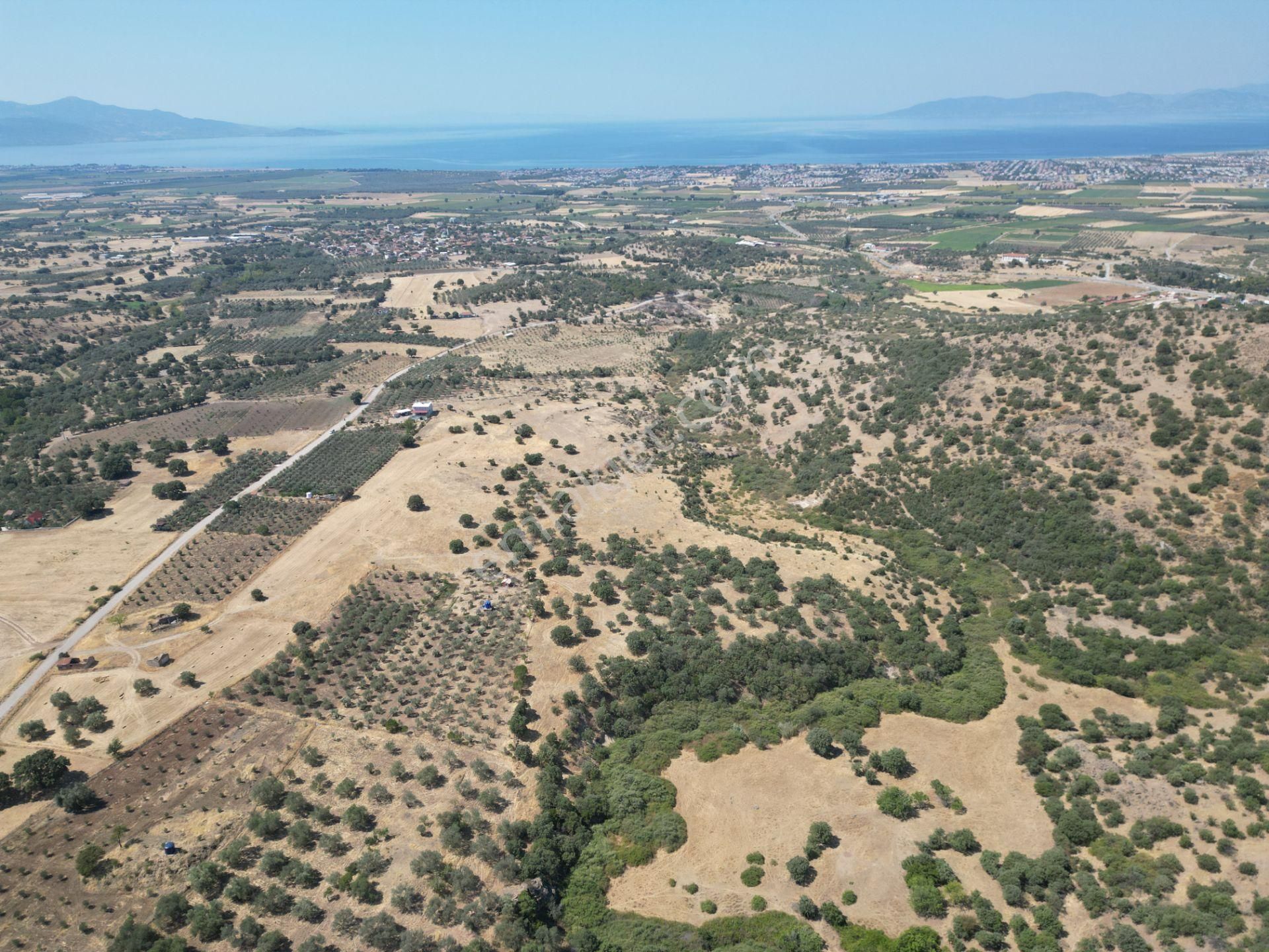 Cb.route'dan, Dikili Kıratlıda Satılık 22 Dönüm Tarla - Görsel 6