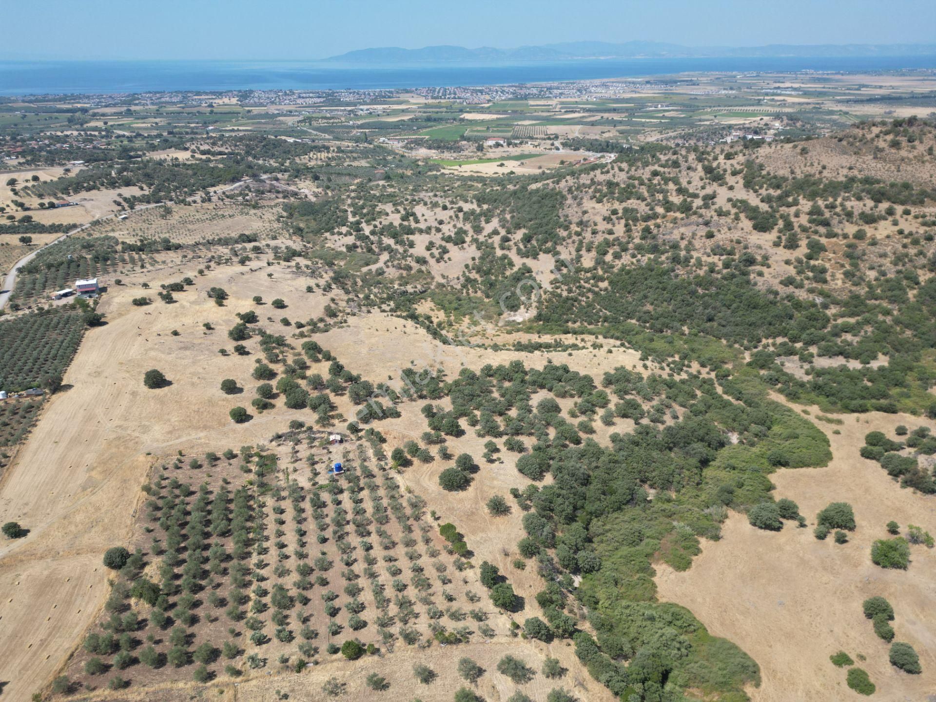 Cb.route'dan, Dikili Kıratlıda Satılık 22 Dönüm Tarla - Görsel 9