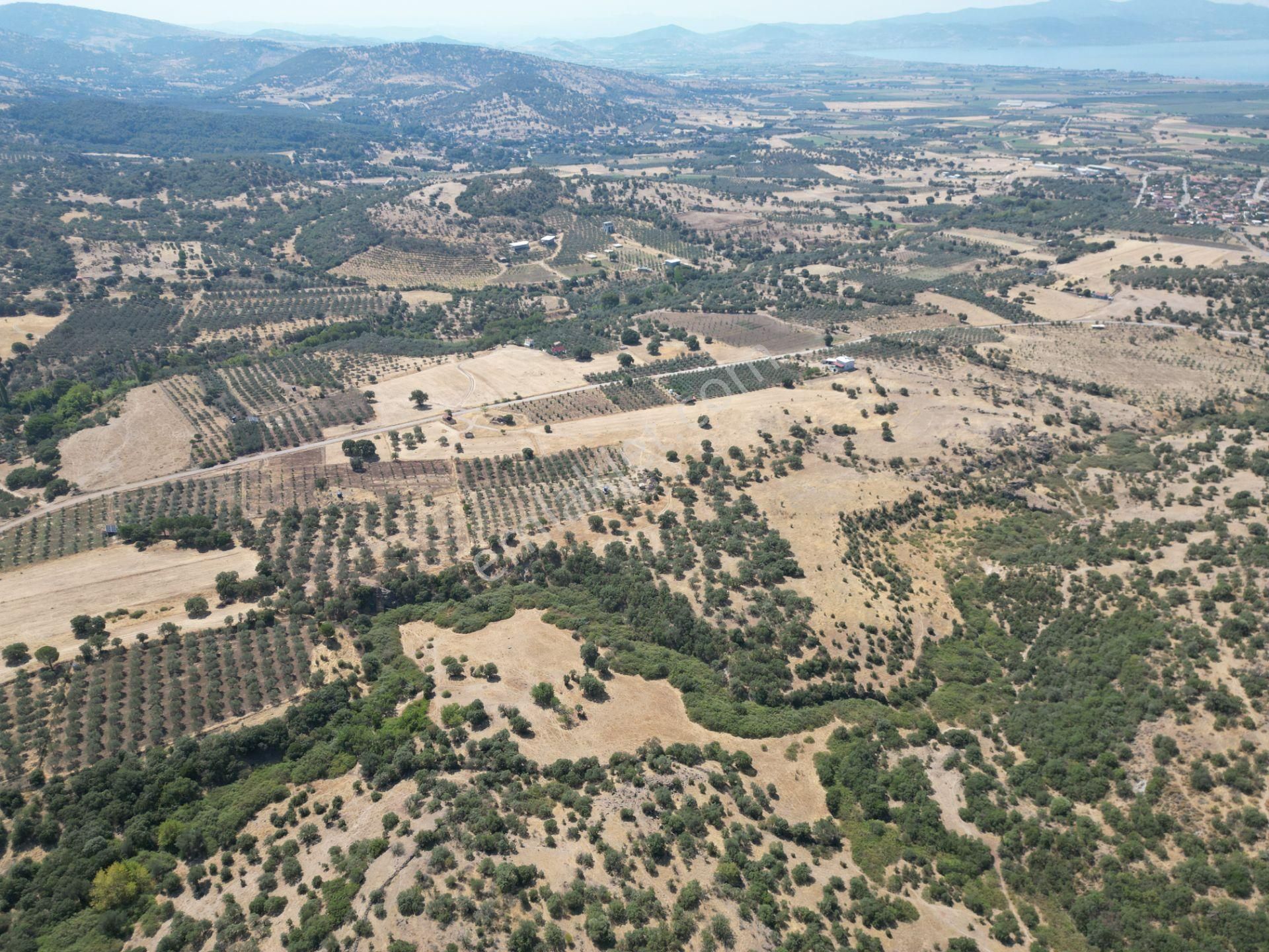 Cb.route'dan, Dikili Kıratlıda Satılık 22 Dönüm Tarla - Görsel 21