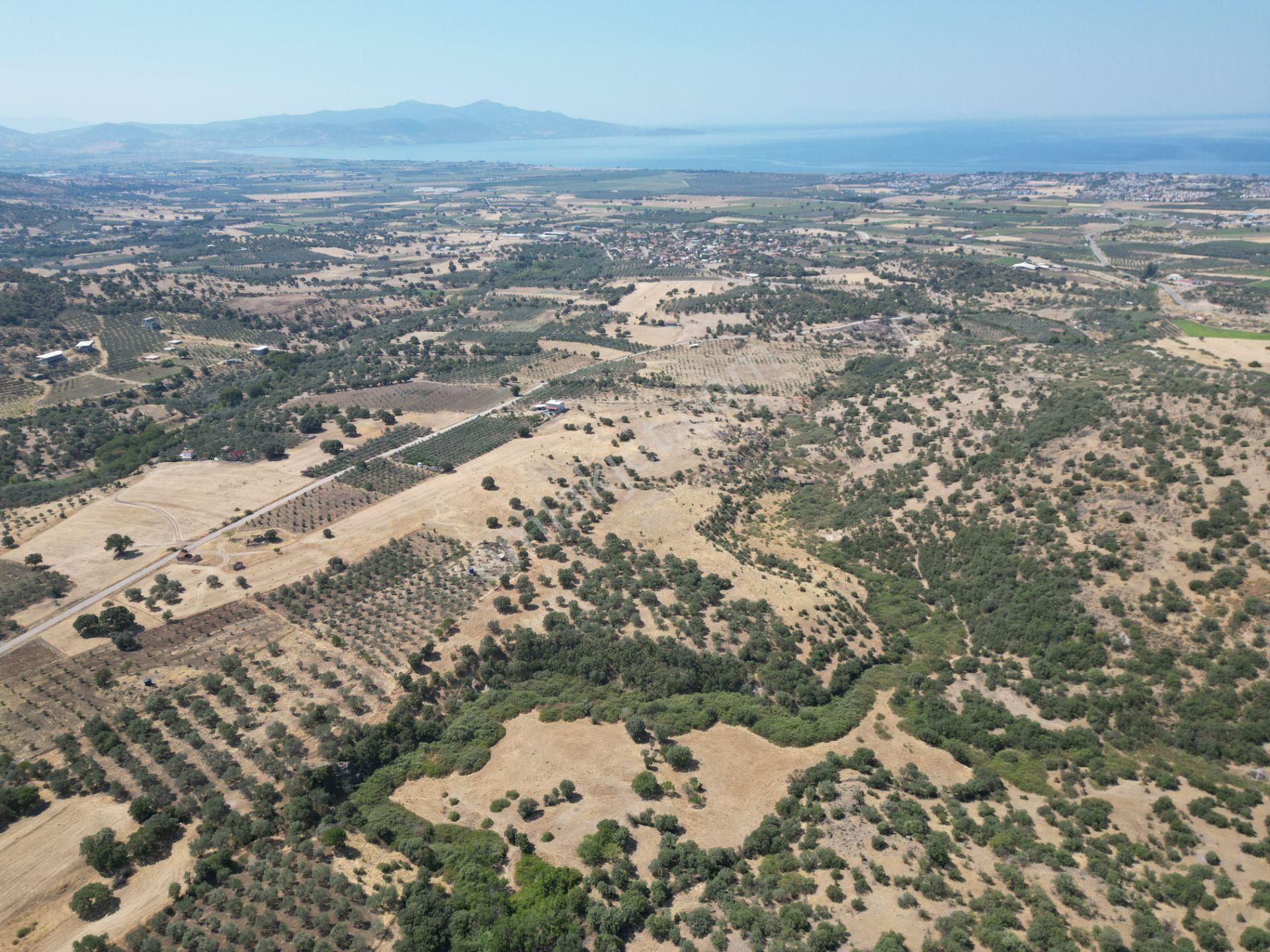 Cb.route'dan, Dikili Kıratlıda Satılık 22 Dönüm Tarla - Görsel 2
