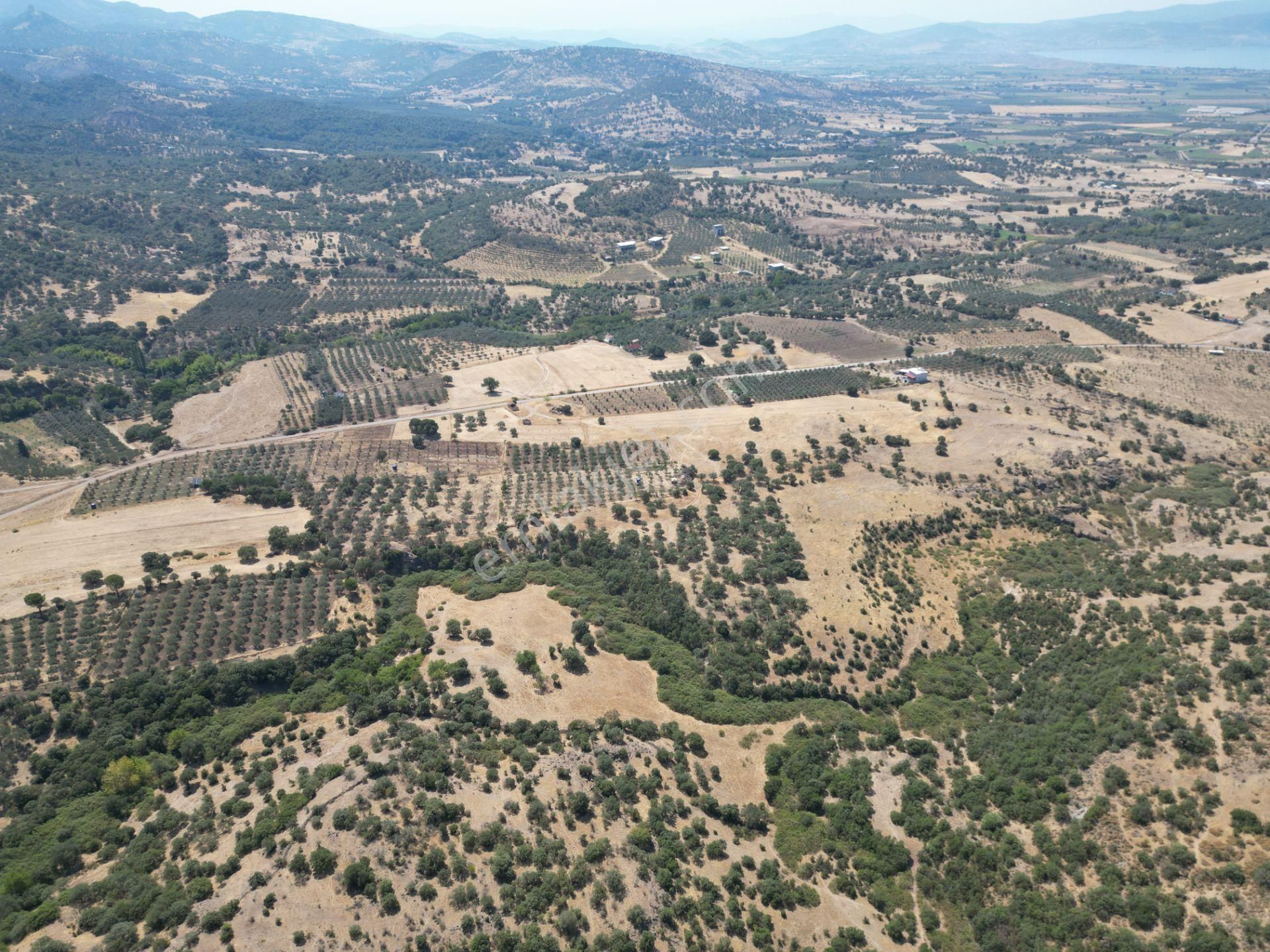 Cb.route'dan, Dikili Kıratlıda Satılık 22 Dönüm Tarla - Görsel 20