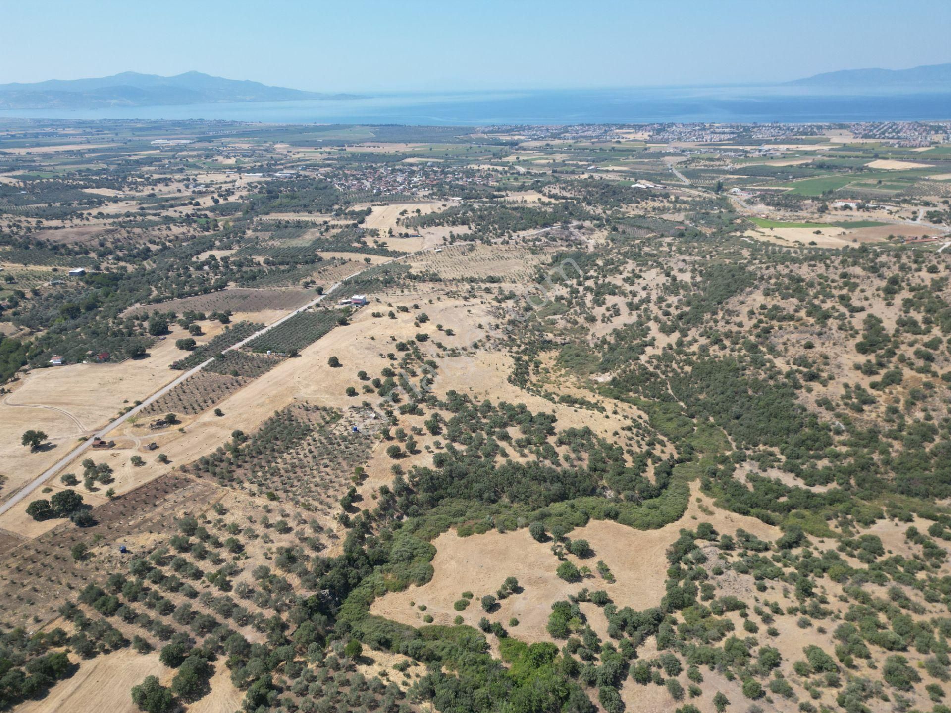 Cb.route'dan, Dikili Kıratlıda Satılık 22 Dönüm Tarla - Görsel 5