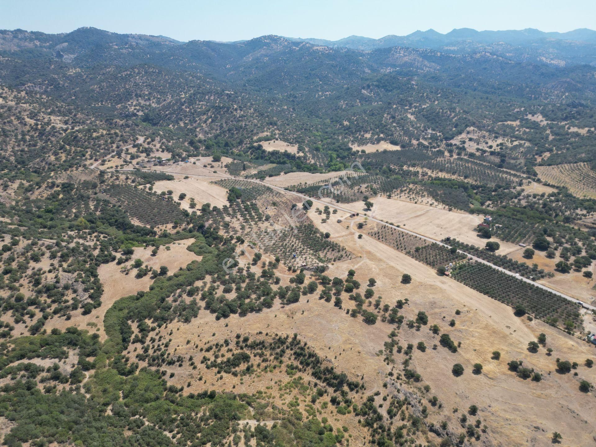 Cb.route'dan, Dikili Kıratlıda Satılık 22 Dönüm Tarla - Görsel 14