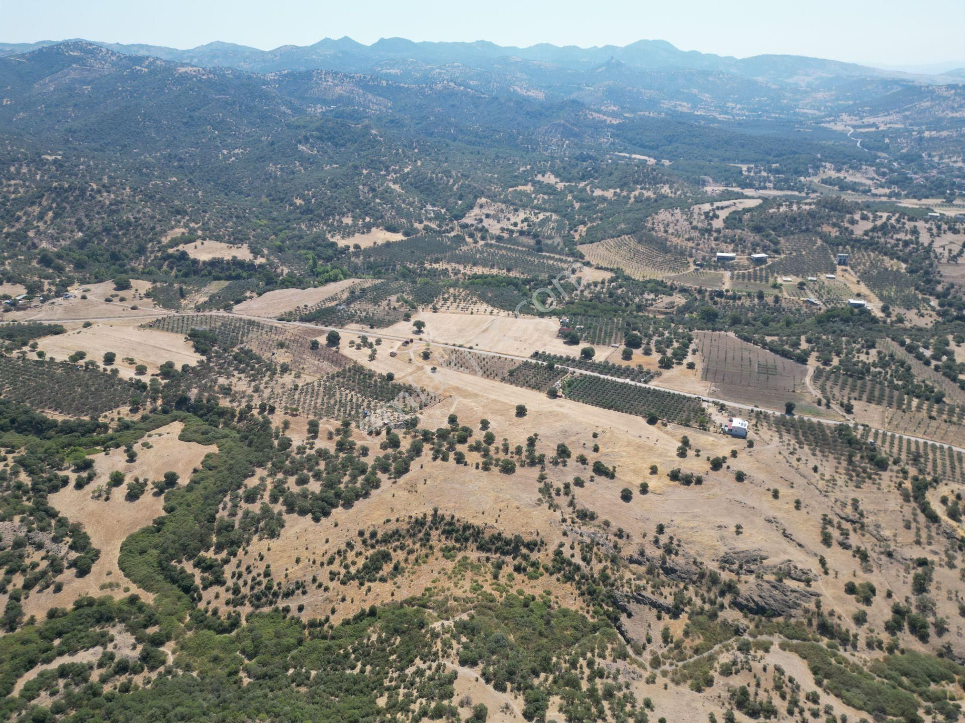 Cb.route'dan, Dikili Kıratlıda Satılık 22 Dönüm Tarla - Görsel 15