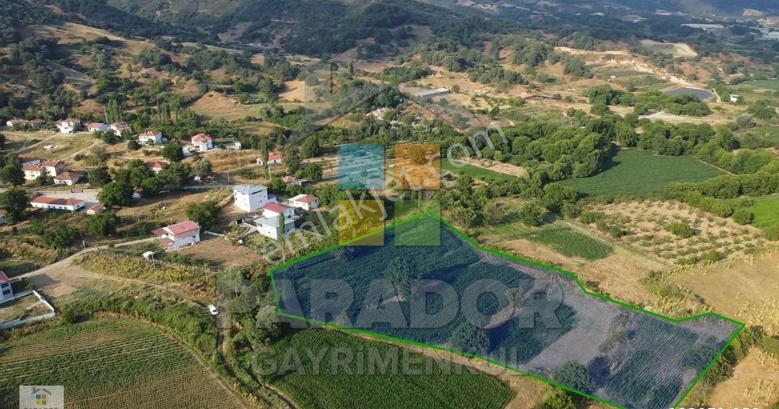 Aydın Kuyucak Sarıcaova Mahallesinde Satılık 13456 M² Tarla