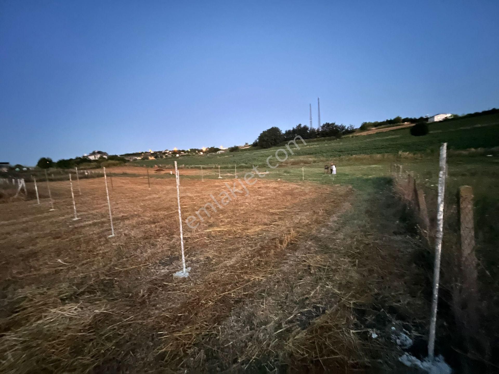 Yatırımlık Konumu Yapılaşmaya Ve Köye Yakın Arsa