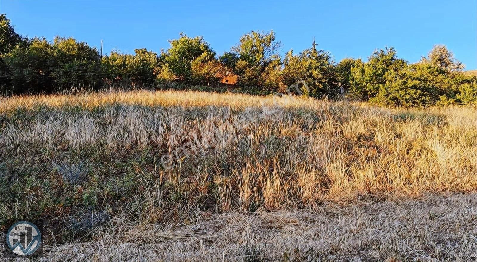 Batur Gayrımenkul'den Satılık Bahçe