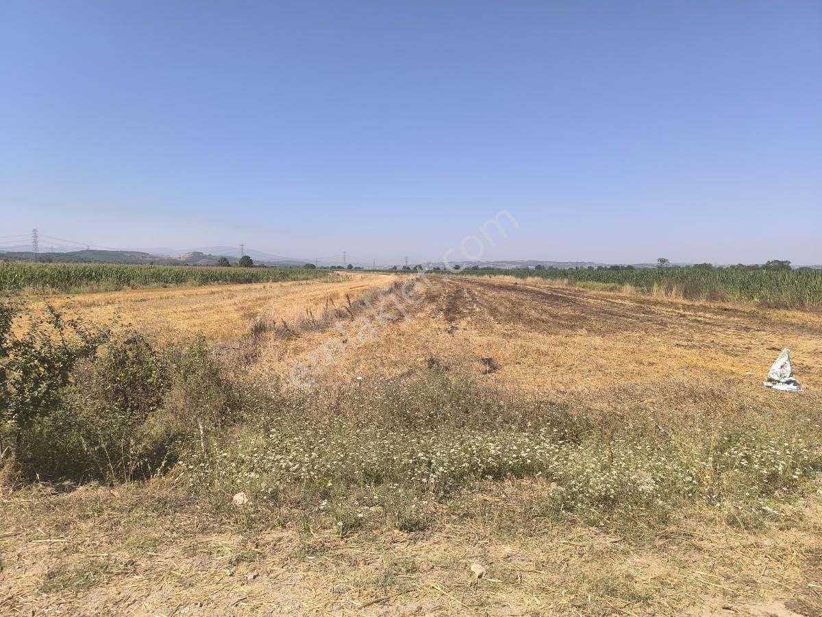 Adapazarı Çatlıcakta 10.910 M² Yola Cepheli Satılık Arazi - Görsel 35