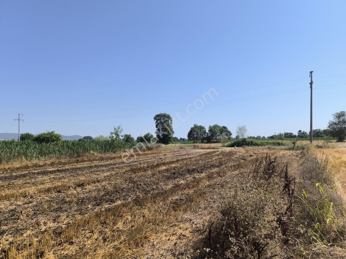 Adapazarı Çatlıcakta 10.910 M² Yola Cepheli Satılık Arazi - Görsel 26