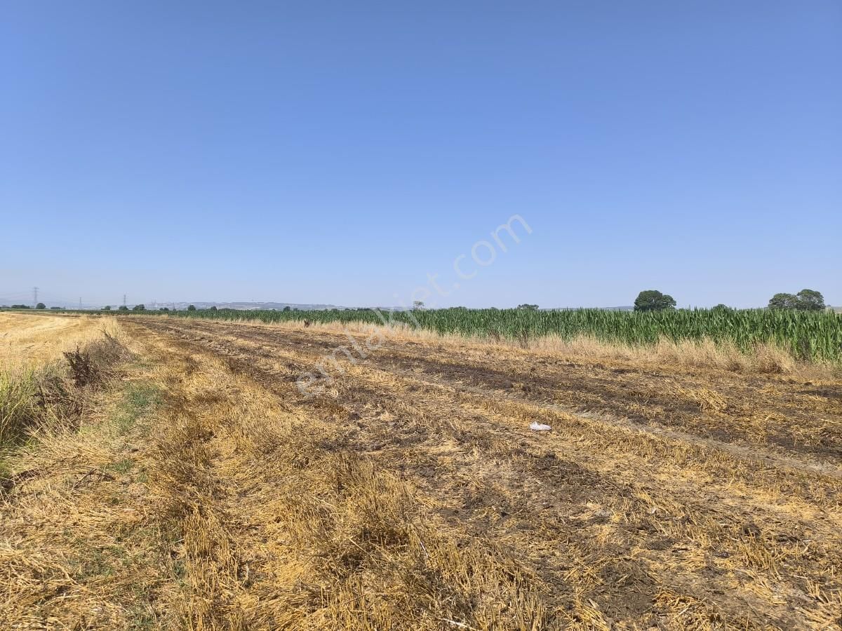 Adapazarı Çatlıcakta 10.910 M² Yola Cepheli Satılık Arazi - Görsel 24