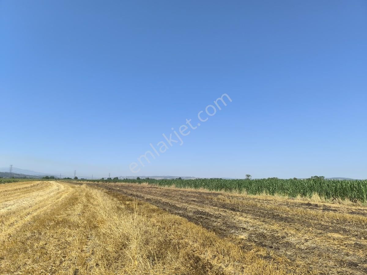 Adapazarı Çatlıcakta 10.910 M² Yola Cepheli Satılık Arazi - Görsel 8