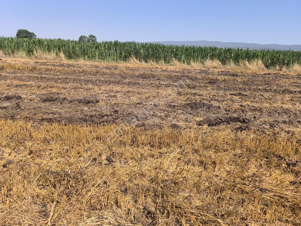 Adapazarı Çatlıcakta 10.910 M² Yola Cepheli Satılık Arazi - Görsel 22