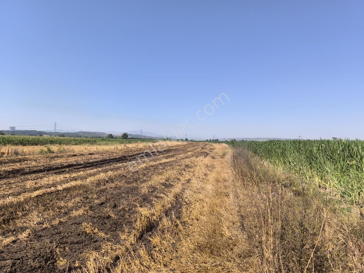 Adapazarı Çatlıcakta 10.910 M² Yola Cepheli Satılık Arazi - Görsel 27