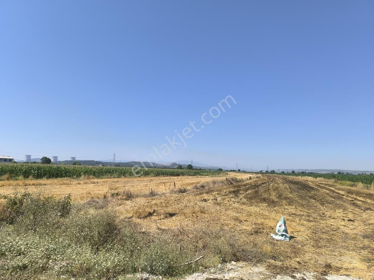 Adapazarı Çatlıcakta 10.910 M² Yola Cepheli Satılık Arazi - Görsel 13