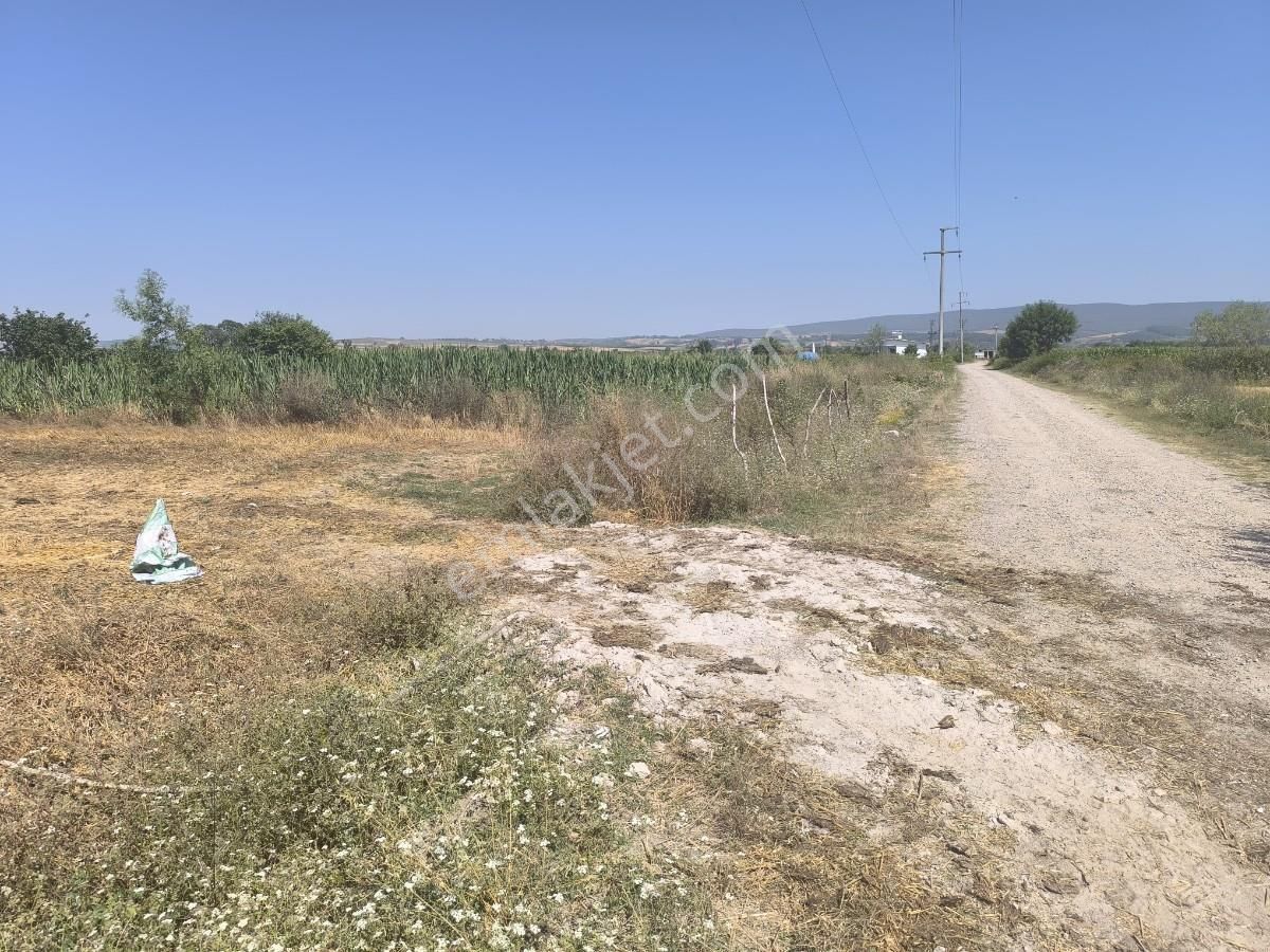 Adapazarı Çatlıcakta 10.910 M² Yola Cepheli Satılık Arazi - Görsel 34