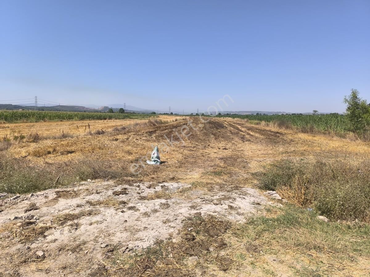 Adapazarı Çatlıcakta 10.910 M² Yola Cepheli Satılık Arazi - Görsel 14