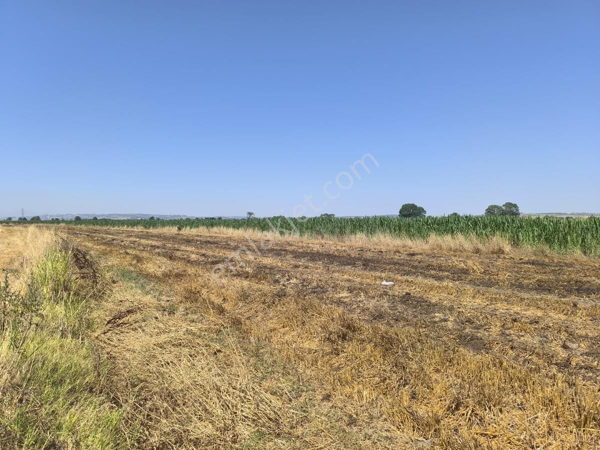 Adapazarı Çatlıcakta 10.910 M² Yola Cepheli Satılık Arazi - Görsel 16