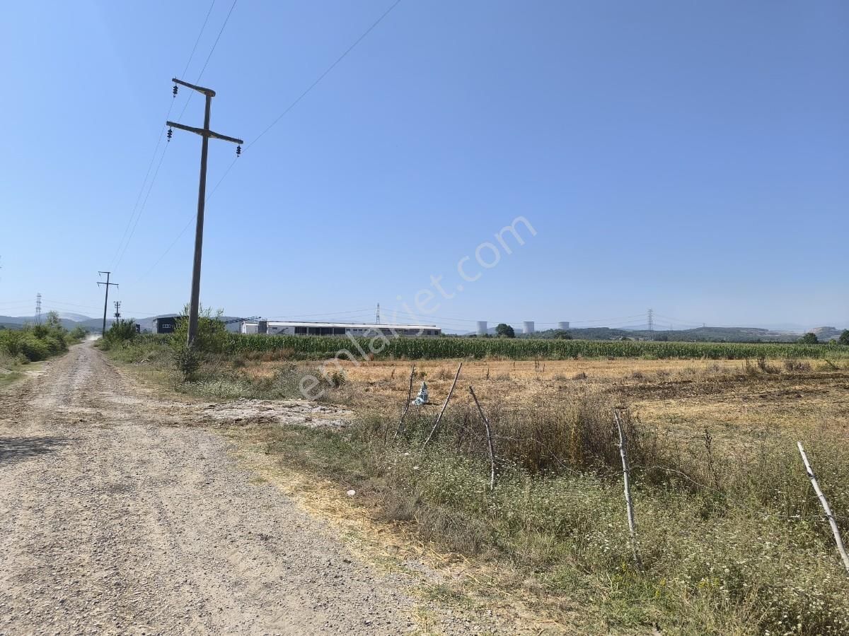 Adapazarı Çatlıcakta 10.910 M² Yola Cepheli Satılık Arazi - Görsel 3
