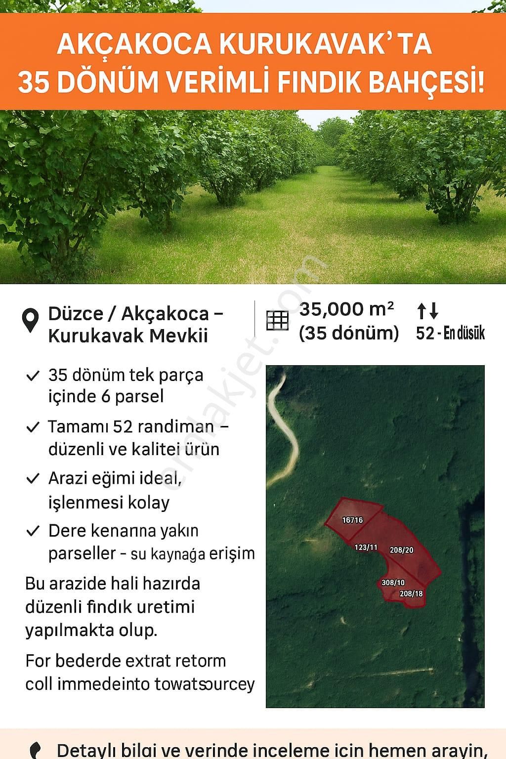 Düzce Akçakoca Da Satılık Yatırımlık Fındıklık