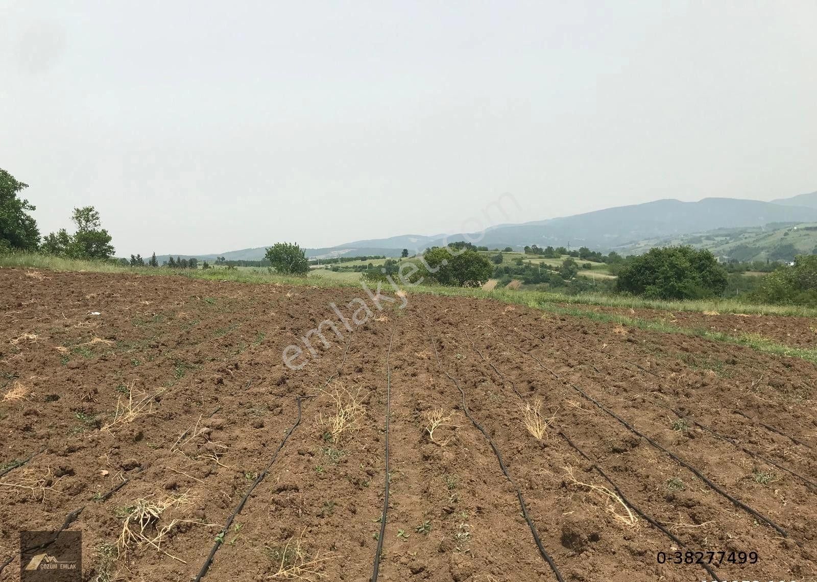 Kocaeli-karamürsel-yalakdere Orman Ve Doğa Manzaralı Dümdüz Satılık Tarla