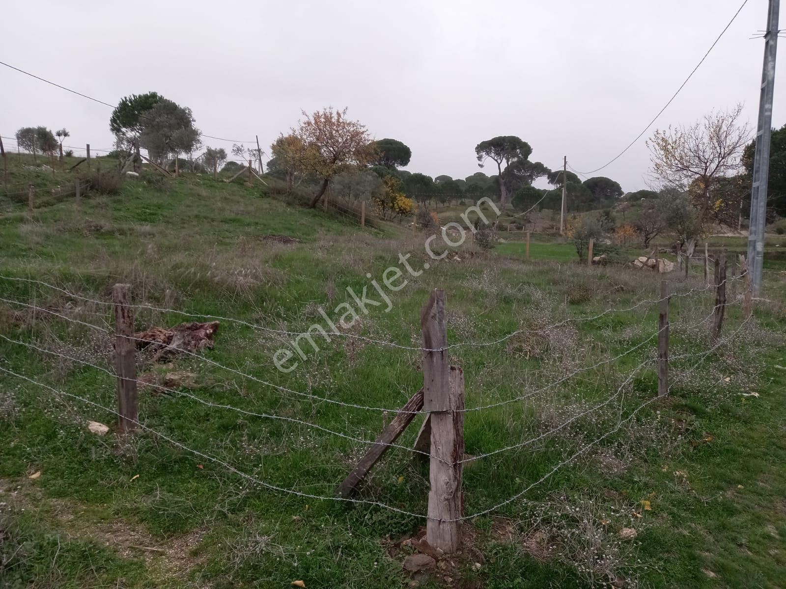 Milas Akkovanlık'ta, Köy İçinde Ev Yapılabilir, 300 M2 Tarla - Görsel 2
