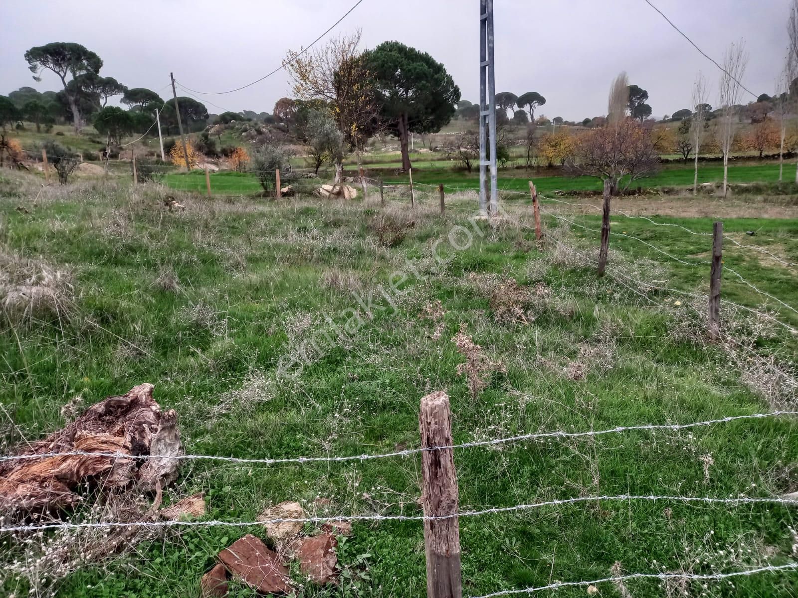 Milas Akkovanlık'ta, Köy İçinde Ev Yapılabilir, 300 M2 Tarla - Görsel 5