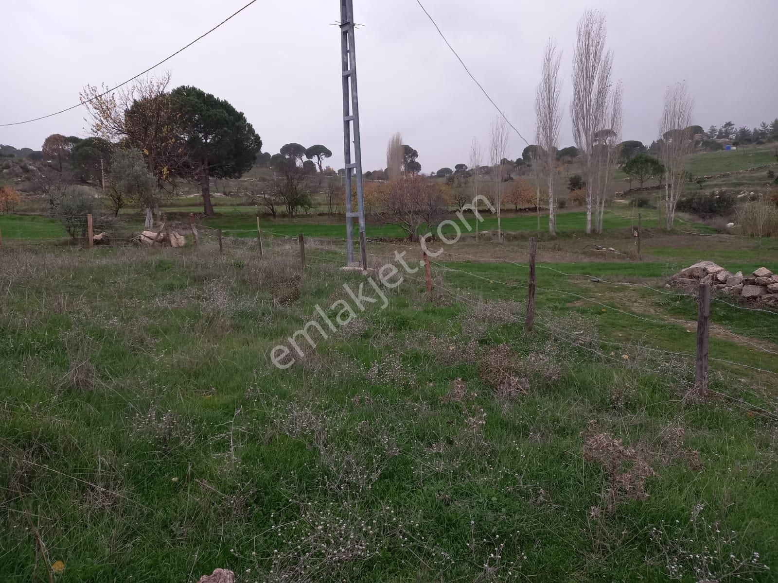 Milas Akkovanlık'ta, Köy İçinde Ev Yapılabilir, 300 M2 Tarla - Görsel 3