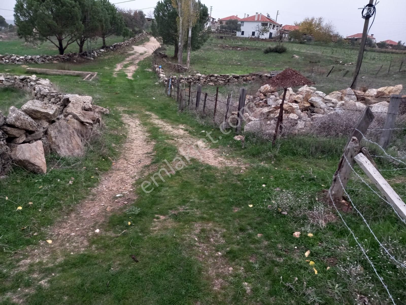 Milas Akkovanlık'ta, Köy İçinde Ev Yapılabilir, 300 M2 Tarla - Görsel 4
