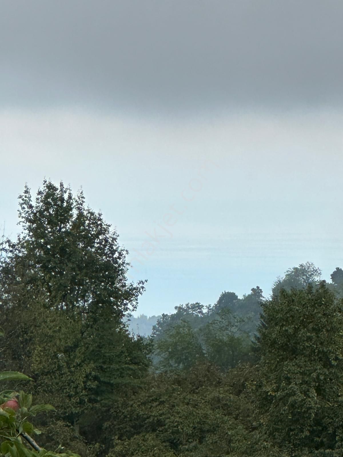 Belen Köyünde Ana Yolun Kenarında Satılık Müstakil Ev - Görsel 12