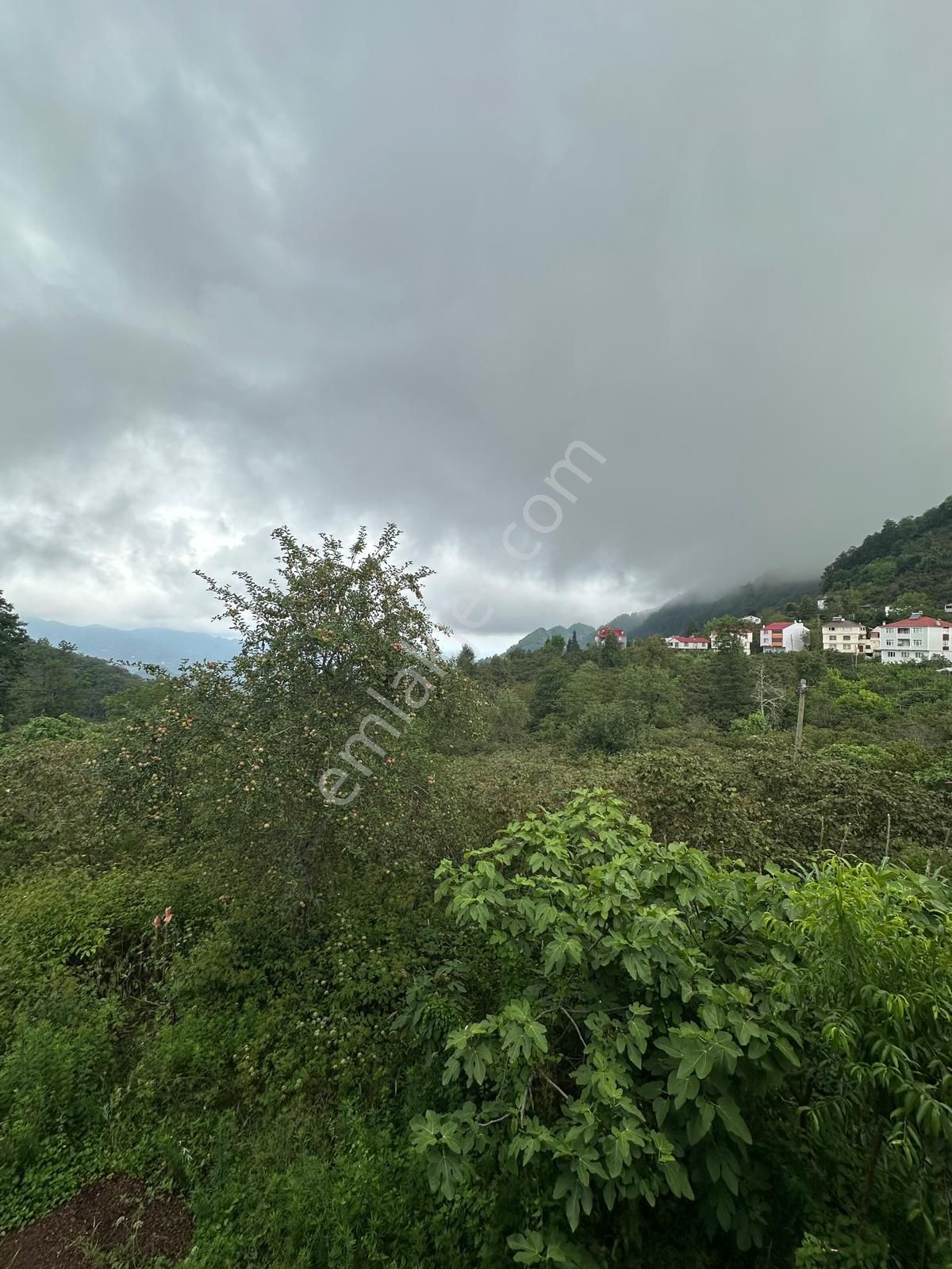 Belen Köyünde Ana Yolun Kenarında Satılık Müstakil Ev - Görsel 13