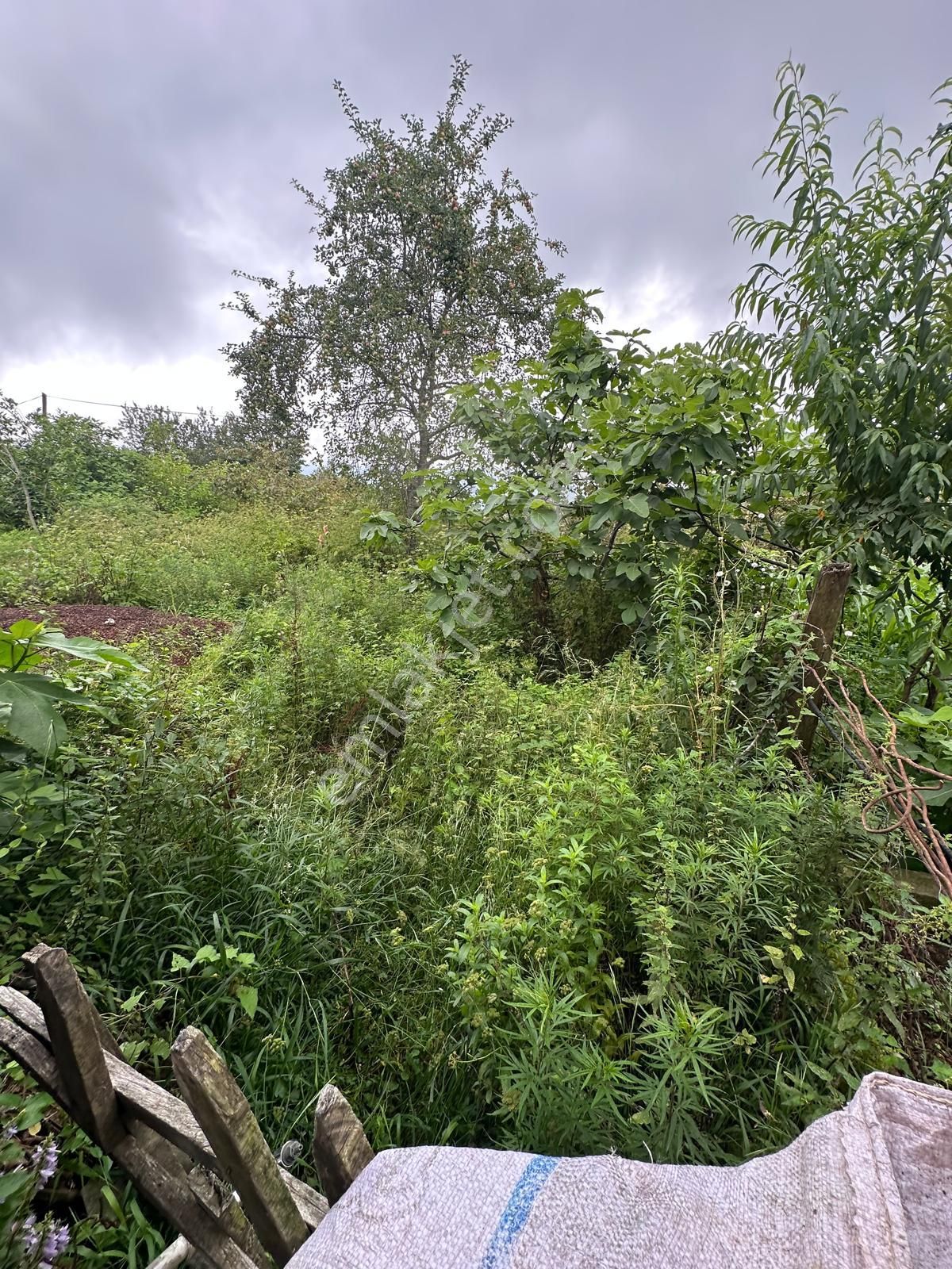 Belen Köyünde Ana Yolun Kenarında Satılık Müstakil Ev - Görsel 2