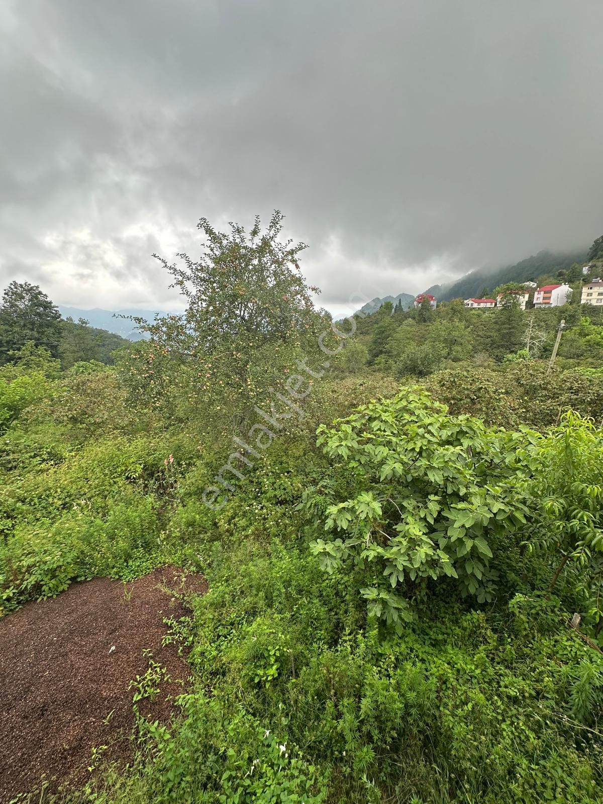 Belen Köyünde Ana Yolun Kenarında Satılık Müstakil Ev - Görsel 15