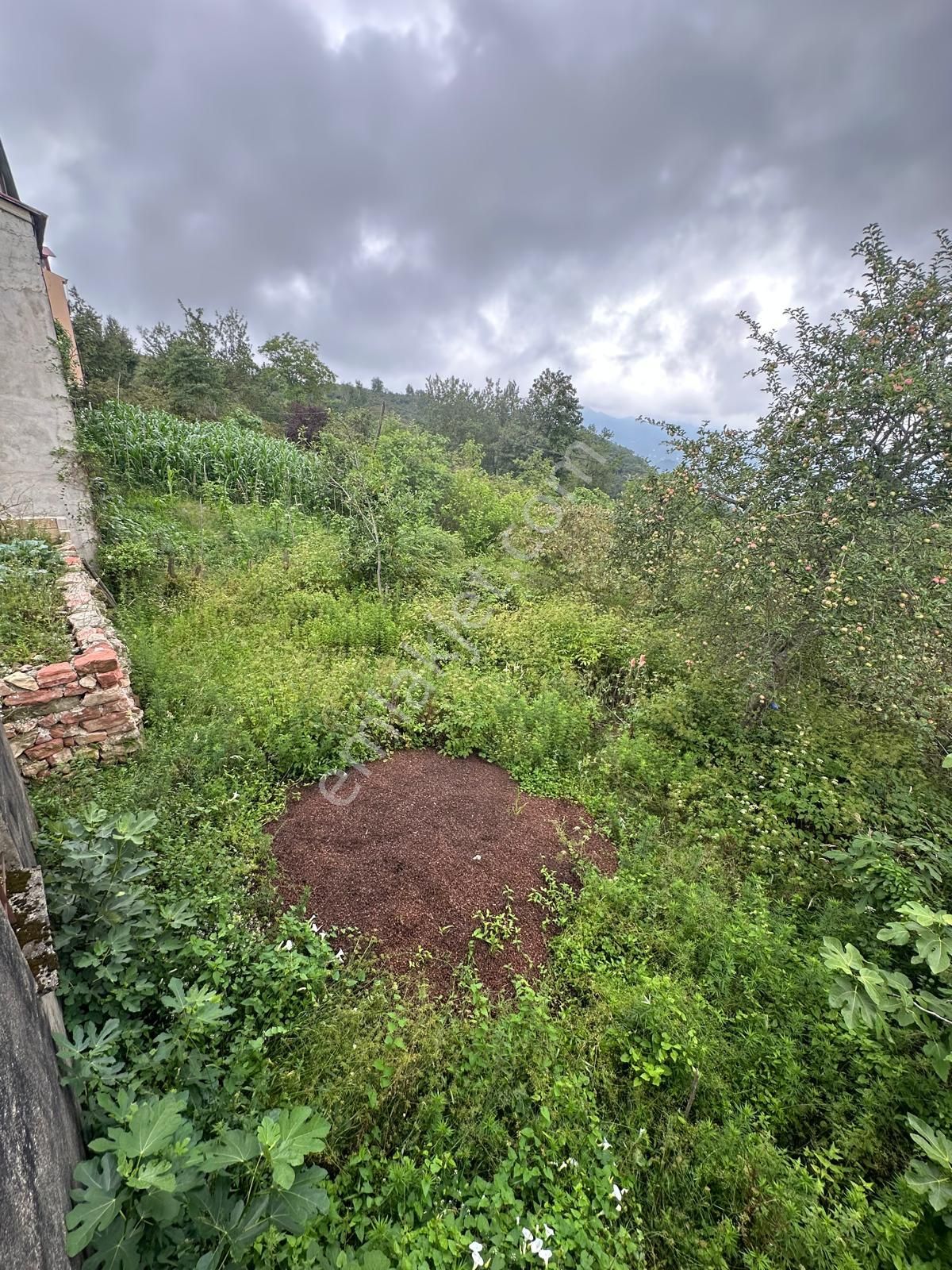 Belen Köyünde Ana Yolun Kenarında Satılık Müstakil Ev - Görsel 14