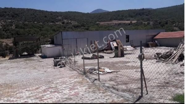 Menemen Karaorman Köyünde 1792 M2 Satılık Çiflik