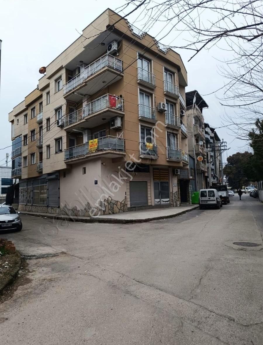Koşu İzbana Yakin