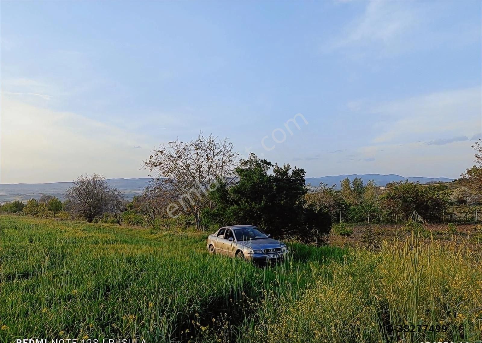 Pusula'dan Satılık Sancar'da 4412 M2 Meyve Ağaçları Var -yol Var
