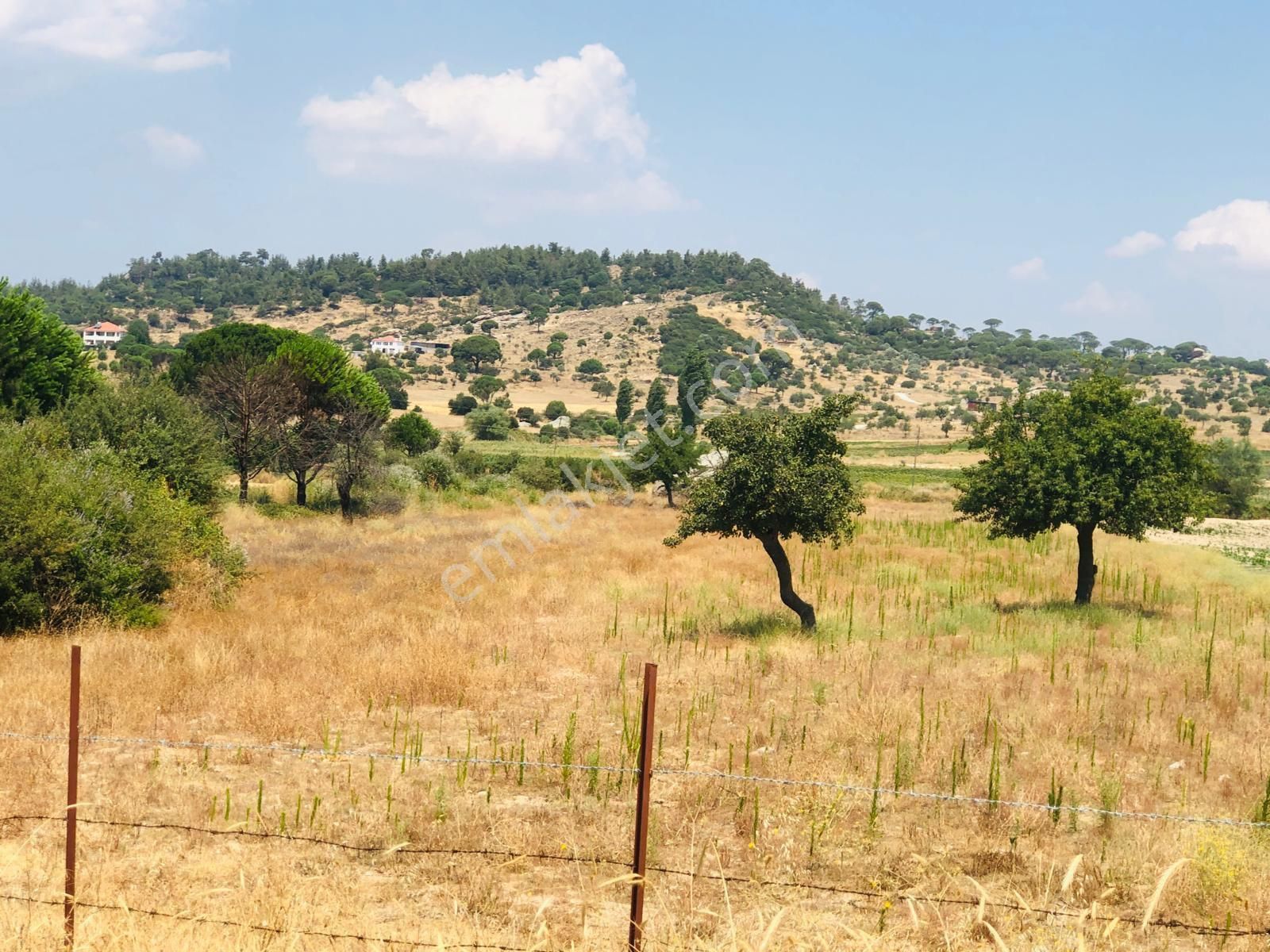 Muğla Milas Türbe Akkovanlık'da 4892 M2 Muhteşem Tarla!!! - Görsel 7