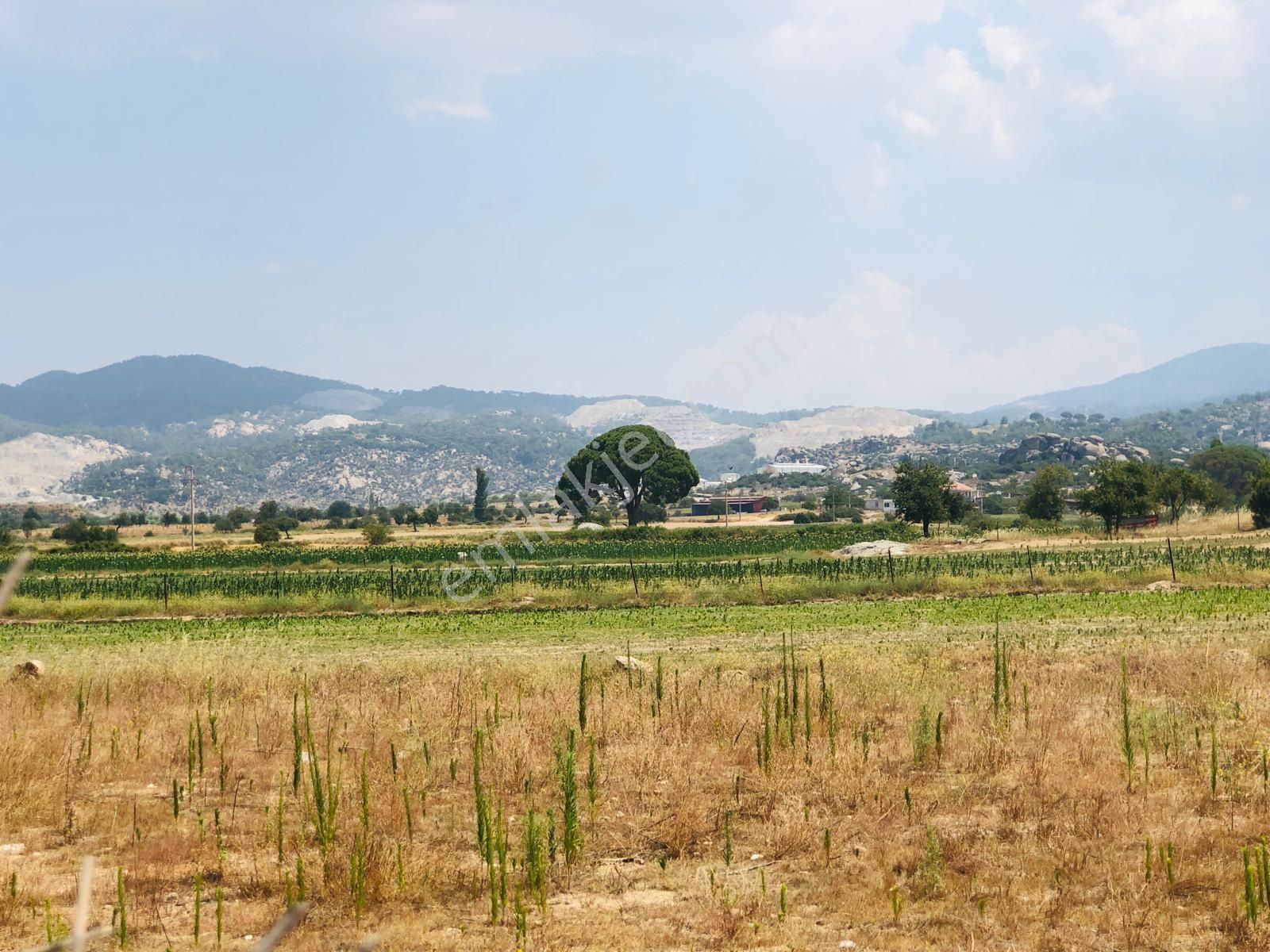 Muğla Milas Türbe Akkovanlık'da 4892 M2 Muhteşem Tarla!!! - Görsel 8