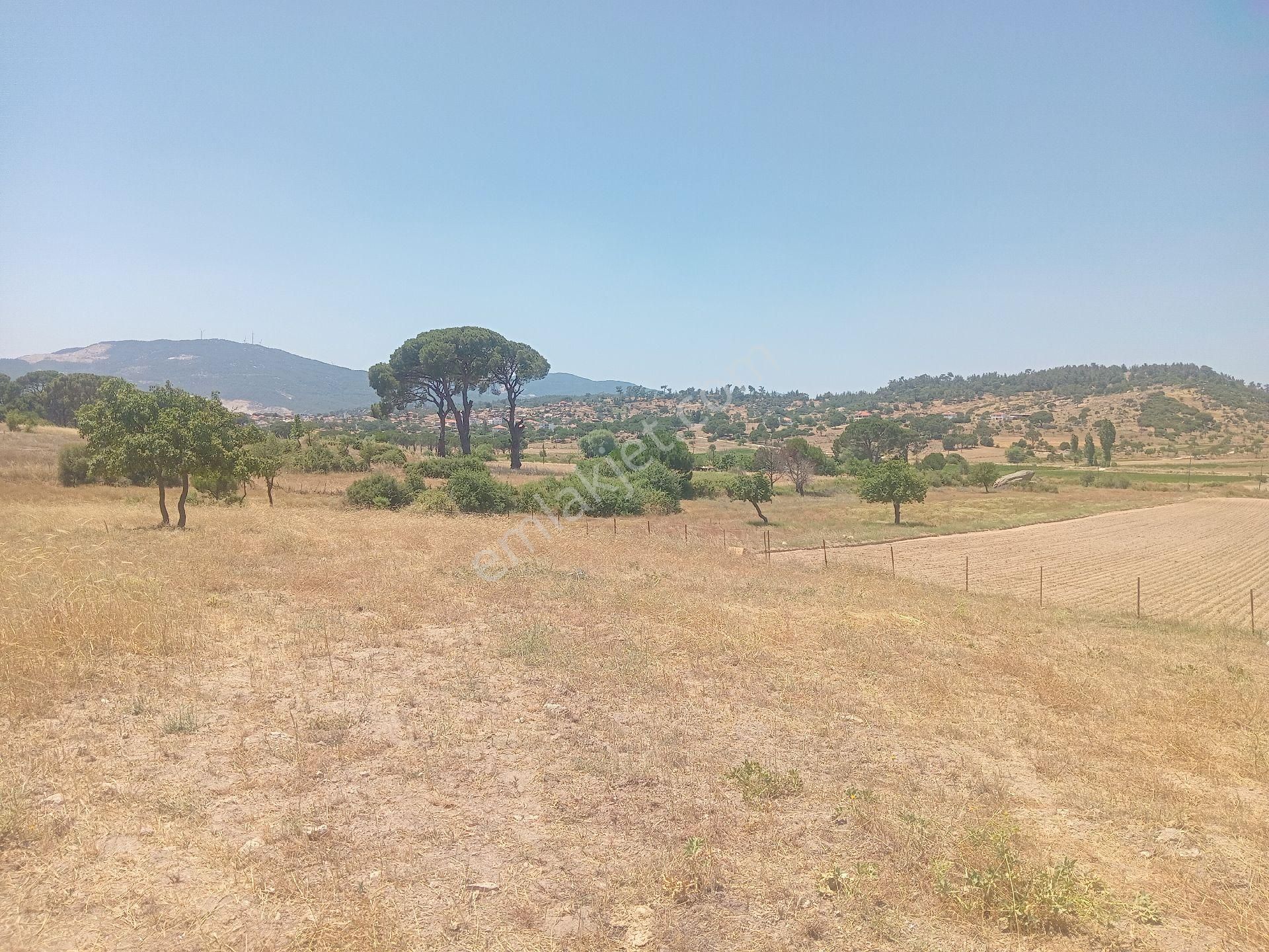 Muğla Milas Türbe Akkovanlık'da 4892 M2 Muhteşem Tarla!!! - Görsel 17