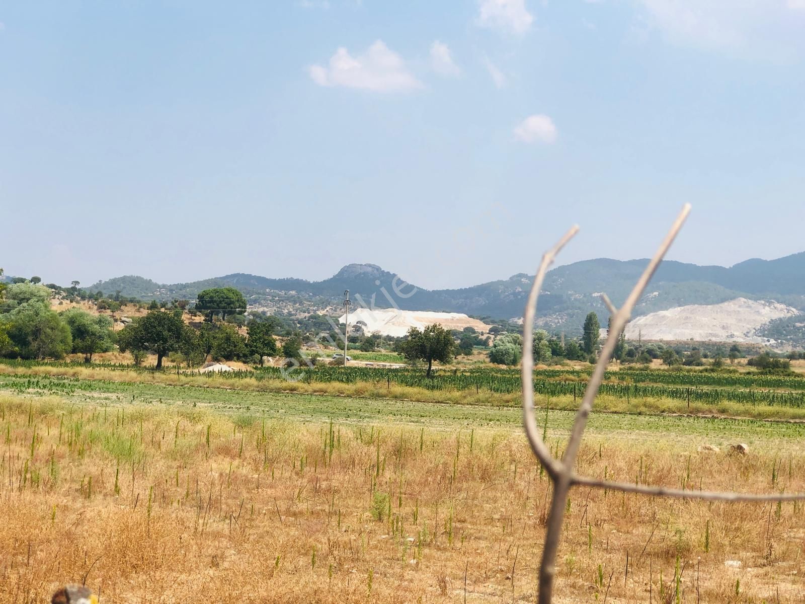 Muğla Milas Türbe Akkovanlık'da 4892 M2 Muhteşem Tarla!!! - Görsel 9