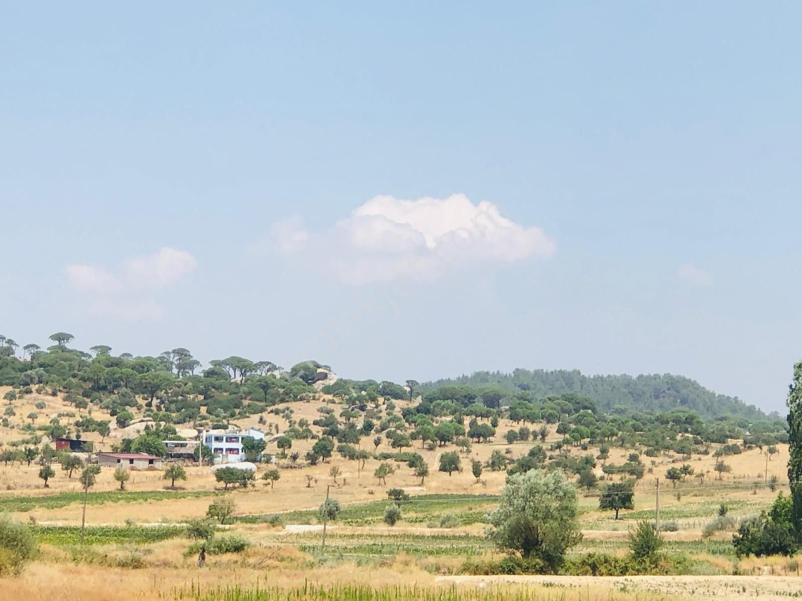 Muğla Milas Türbe Akkovanlık'da 4892 M2 Muhteşem Tarla!!! - Görsel 10