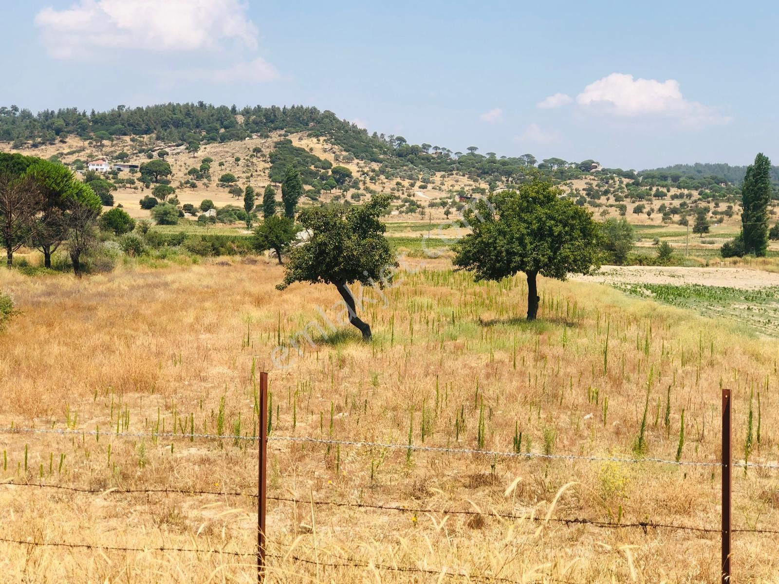 Muğla Milas Türbe Akkovanlık'da 4892 M2 Muhteşem Tarla!!!