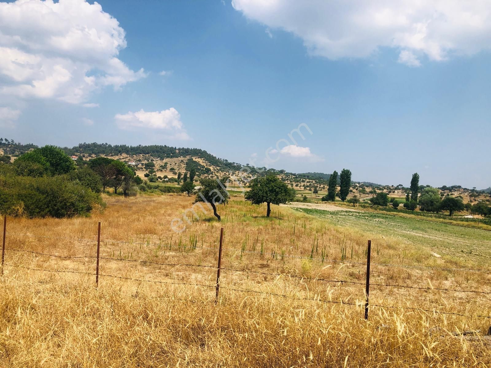 Muğla Milas Türbe Akkovanlık'da 4892 M2 Muhteşem Tarla!!! - Görsel 2