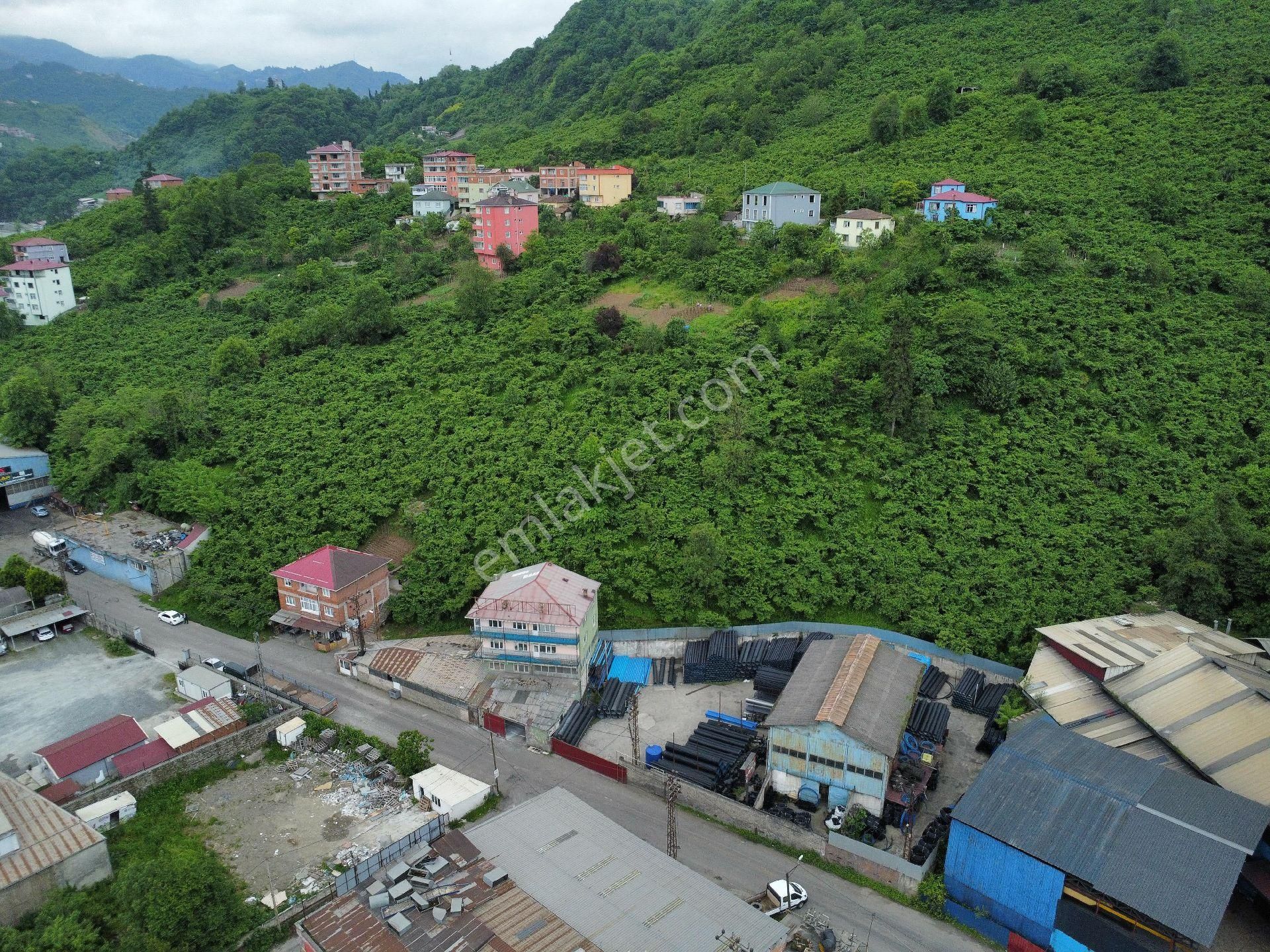 Trabzon Sanayi Bölgesinde Yatırımlık Arazi - Görsel 8