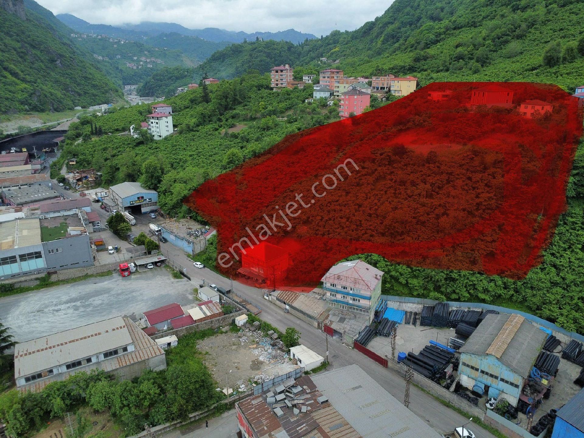 Trabzon Sanayi Bölgesinde Yatırımlık Arazi - Görsel 2